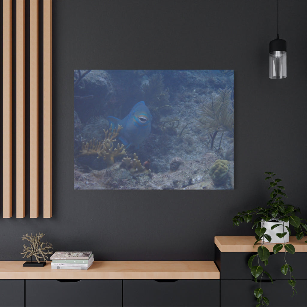 Underwater Parrotfish Canvas Print — Tropical Reef Wall Art