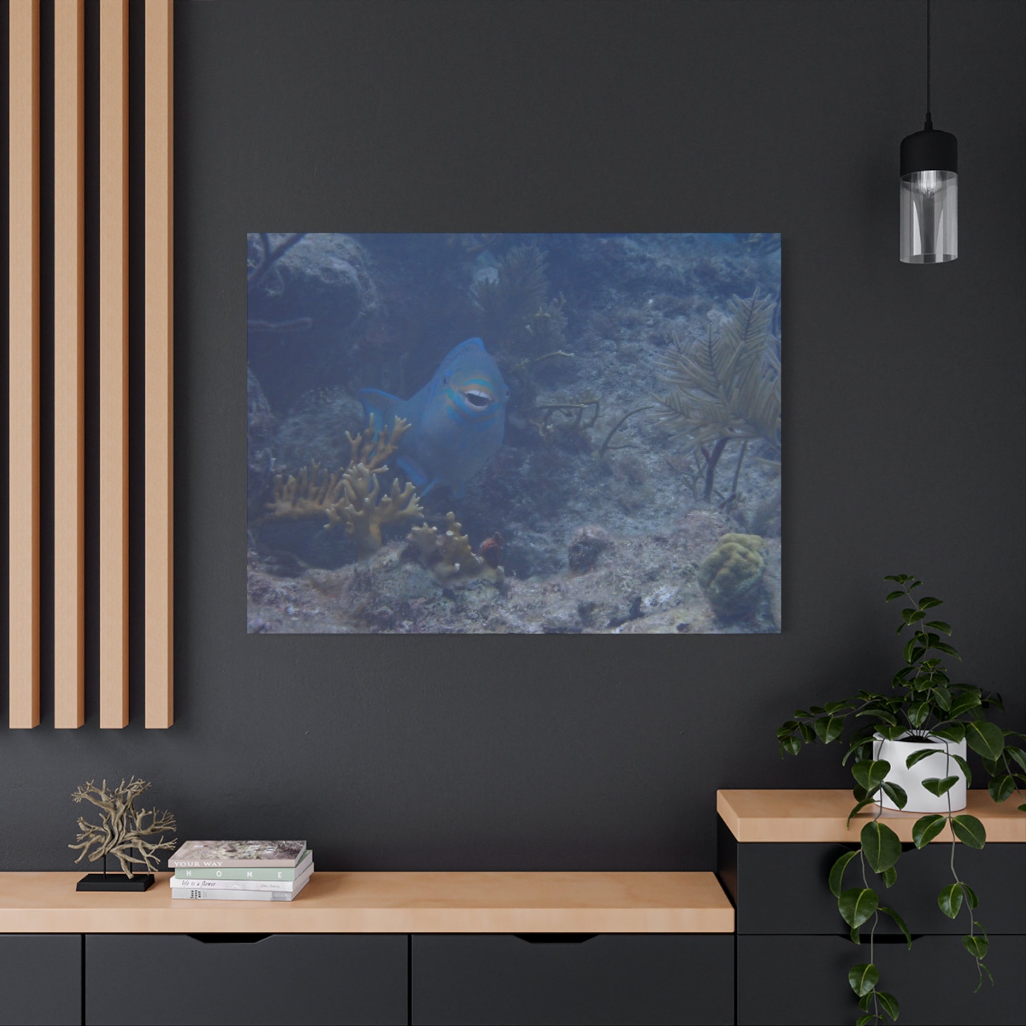 Underwater Parrotfish Canvas Print — Tropical Reef Wall Art