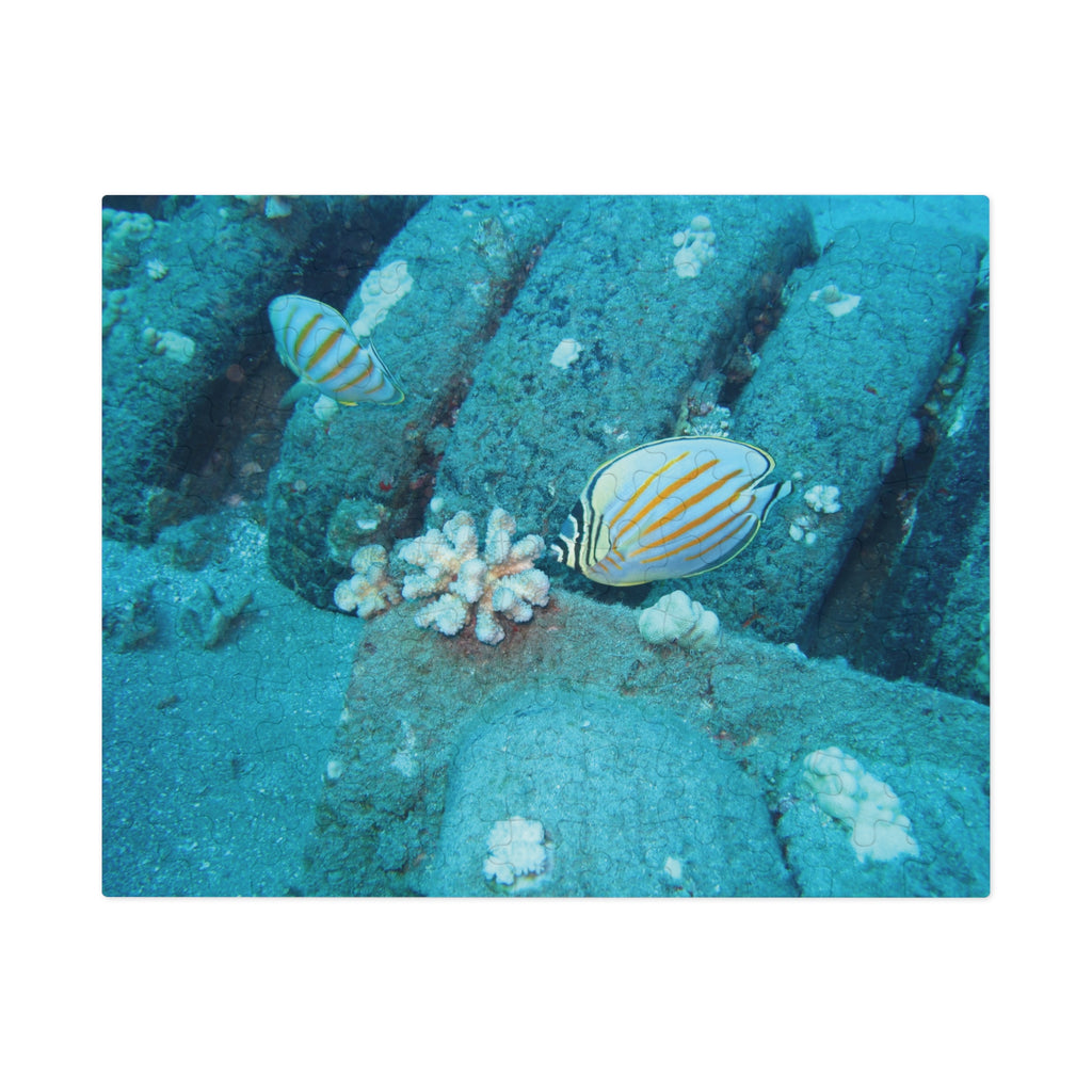 Underwater Butterflyfish Jigsaw Puzzle with Tin – Ocean Coral Reef