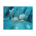 Underwater Butterflyfish Jigsaw Puzzle with Tin – Ocean Coral Reef