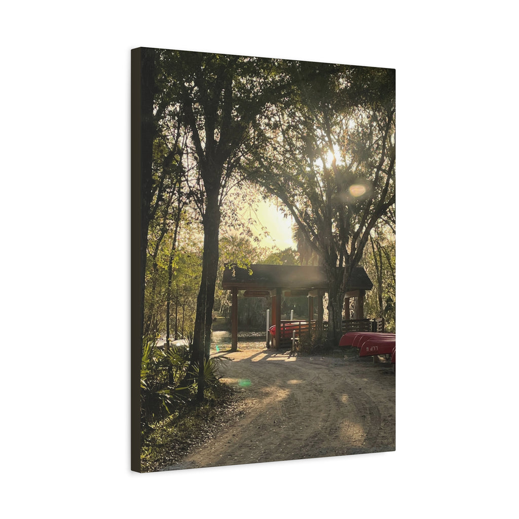 Hazy Morning Kayak - Sunlit Forest Matte Stretched Wall Art