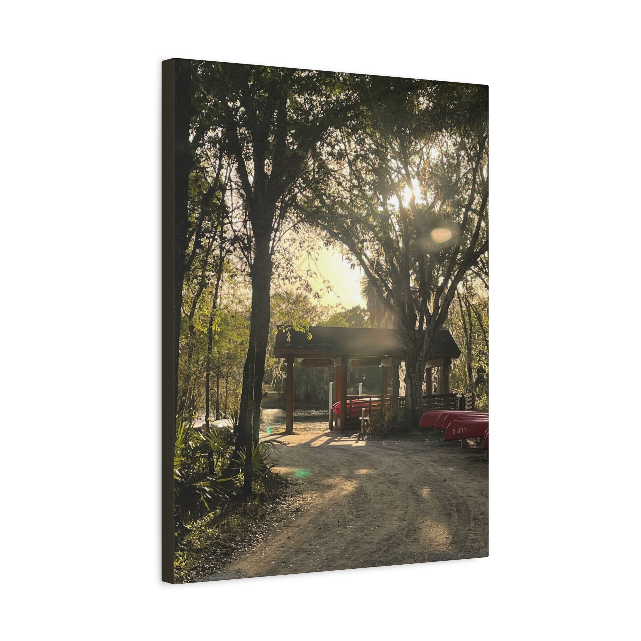 Hazy Morning Kayak - Sunlit Forest Matte Stretched Wall Art