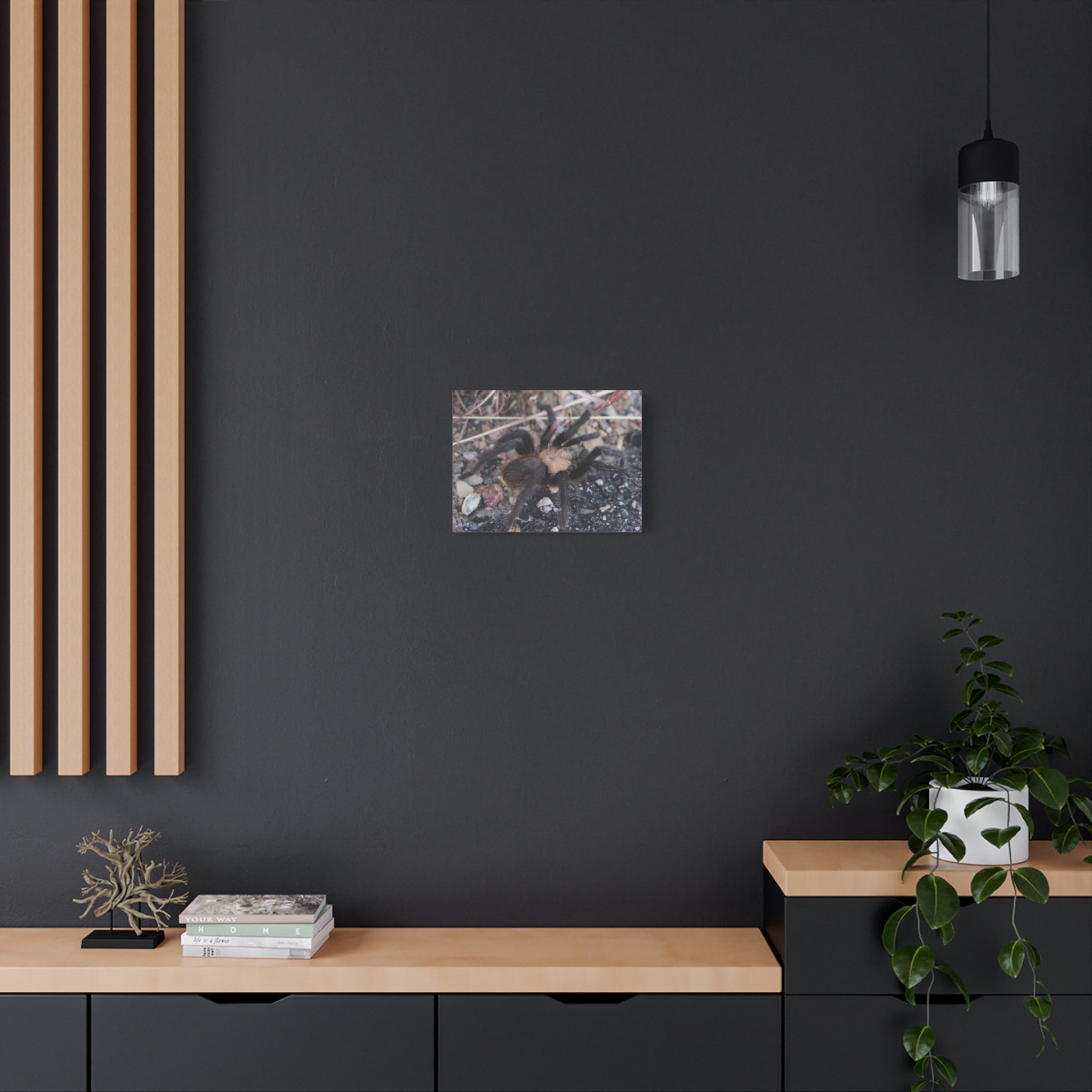 Tarantula Canvas Print — Matte Stretched Wall Art