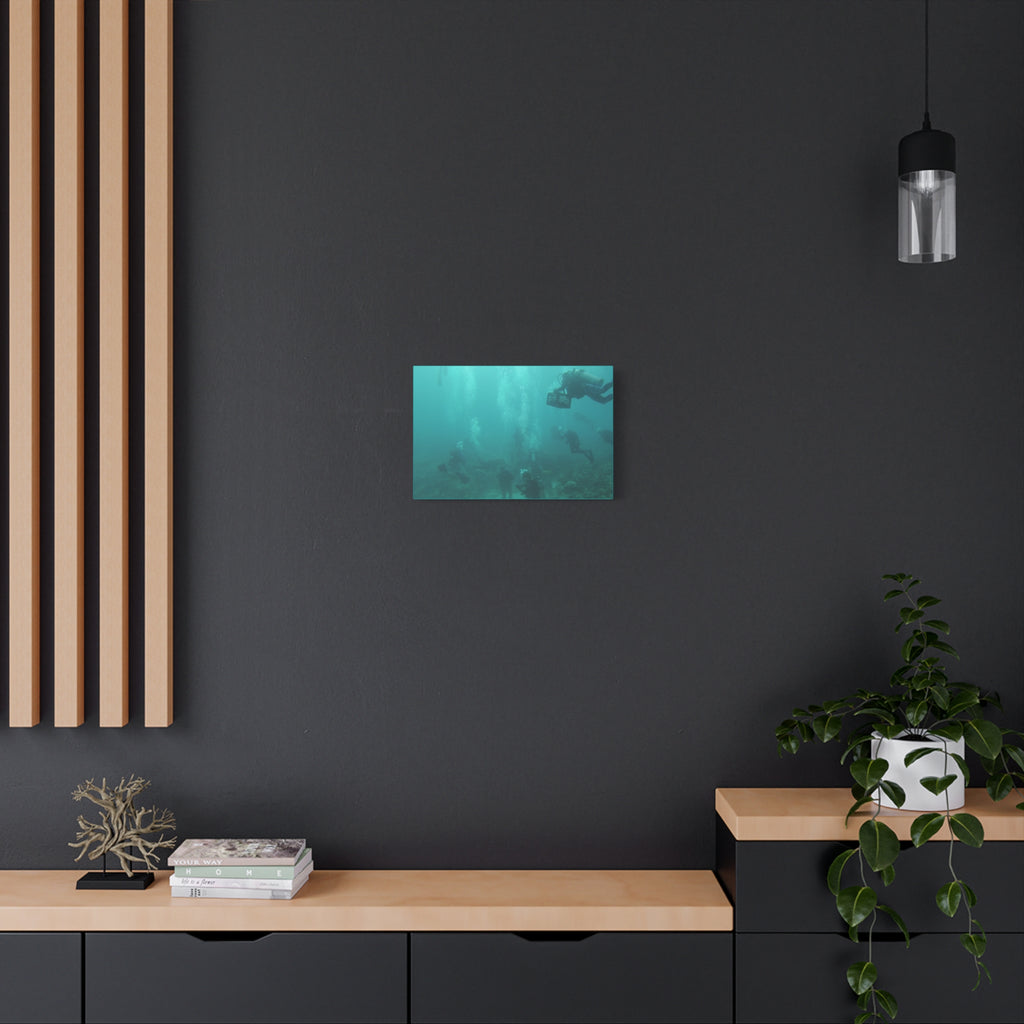Diving over the Reef Matte Canvas