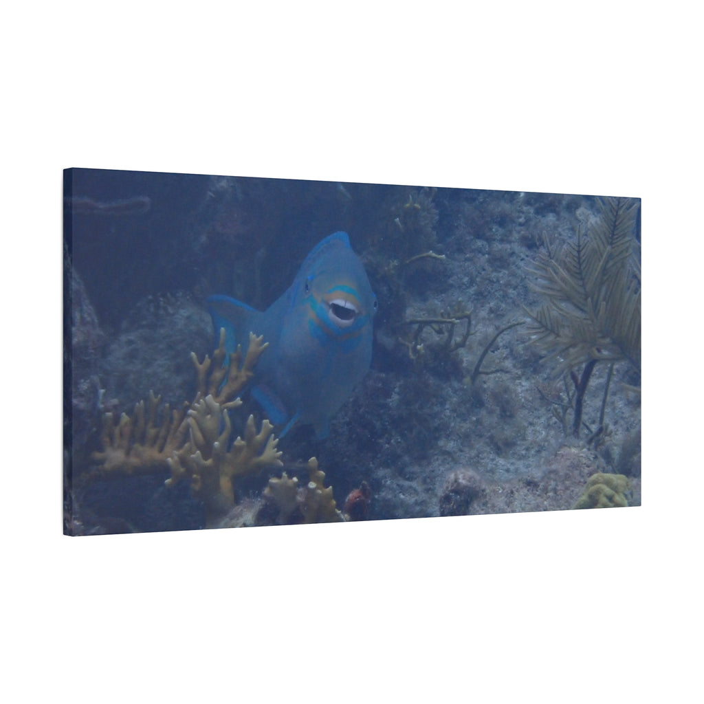 Underwater Parrotfish Canvas Print — Tropical Reef Wall Art