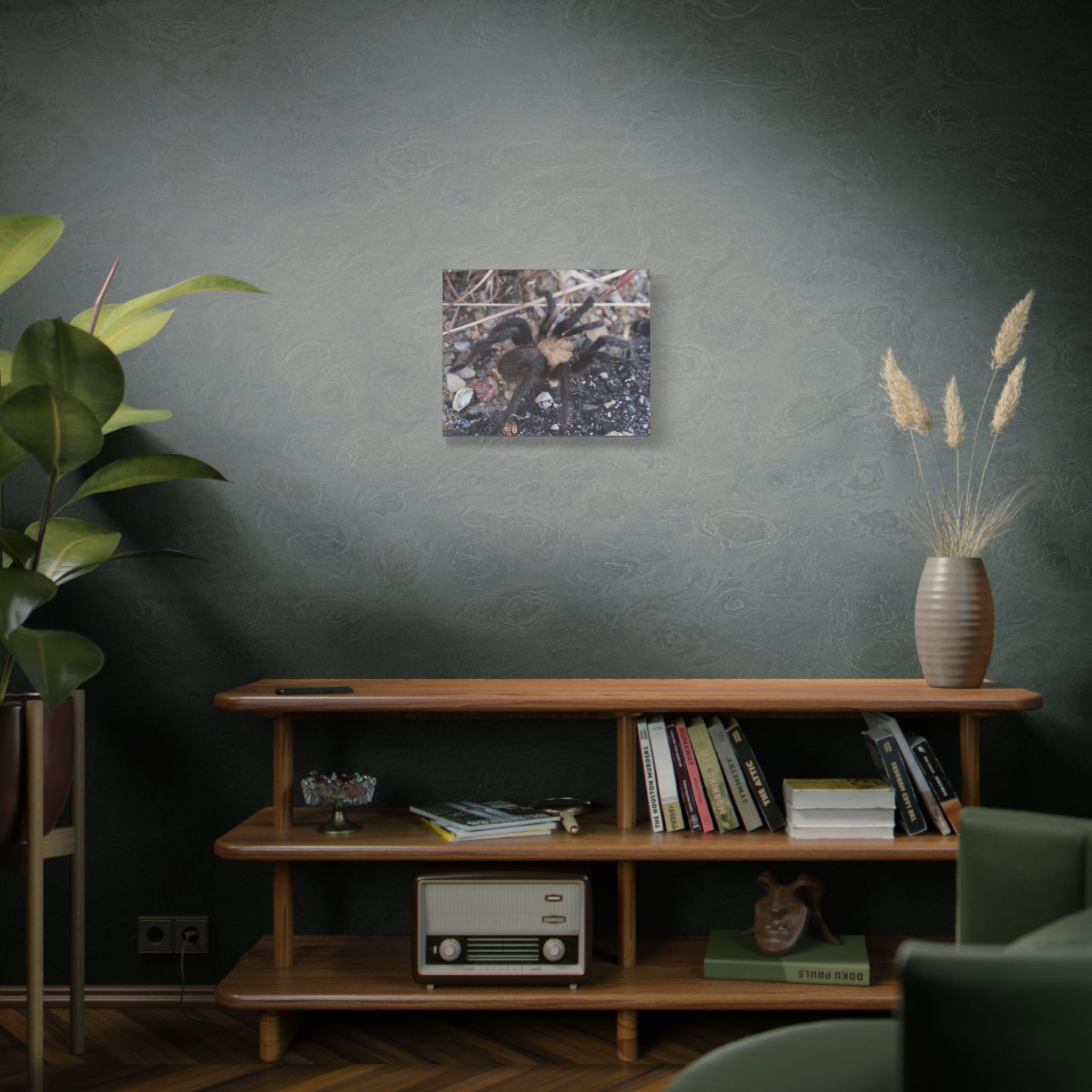 Tarantula Canvas Print — Matte Stretched Wall Art