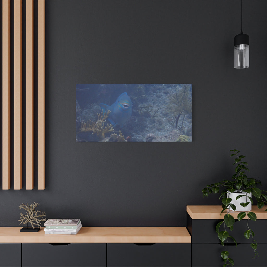 Underwater Parrotfish Canvas Print — Tropical Reef Wall Art