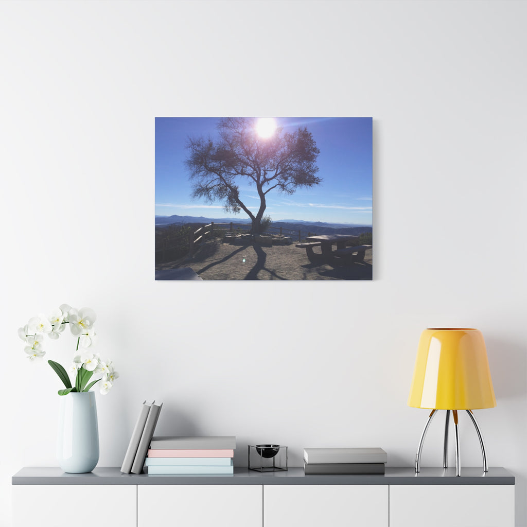 Sunlit Ridge Tree Matte Canvas Print — Scenic Landscape Wall Art