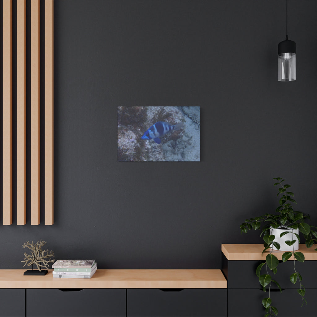Indigo Hamlet Canvas Print — Underwater Matte Stretched Wall Art