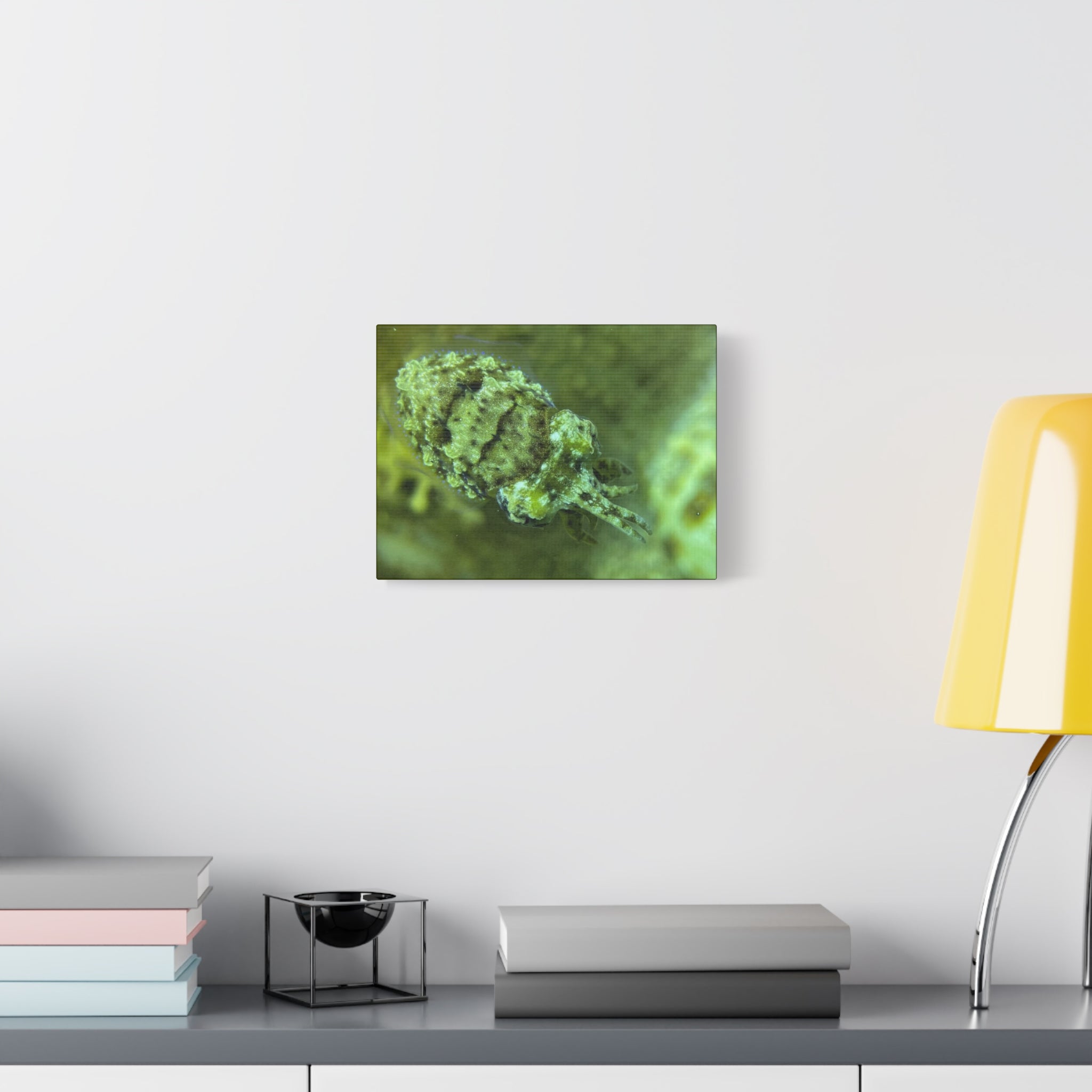 Dwarf Cuttlefish Canvas Print — Matte Stretched Sea Life Wall Art