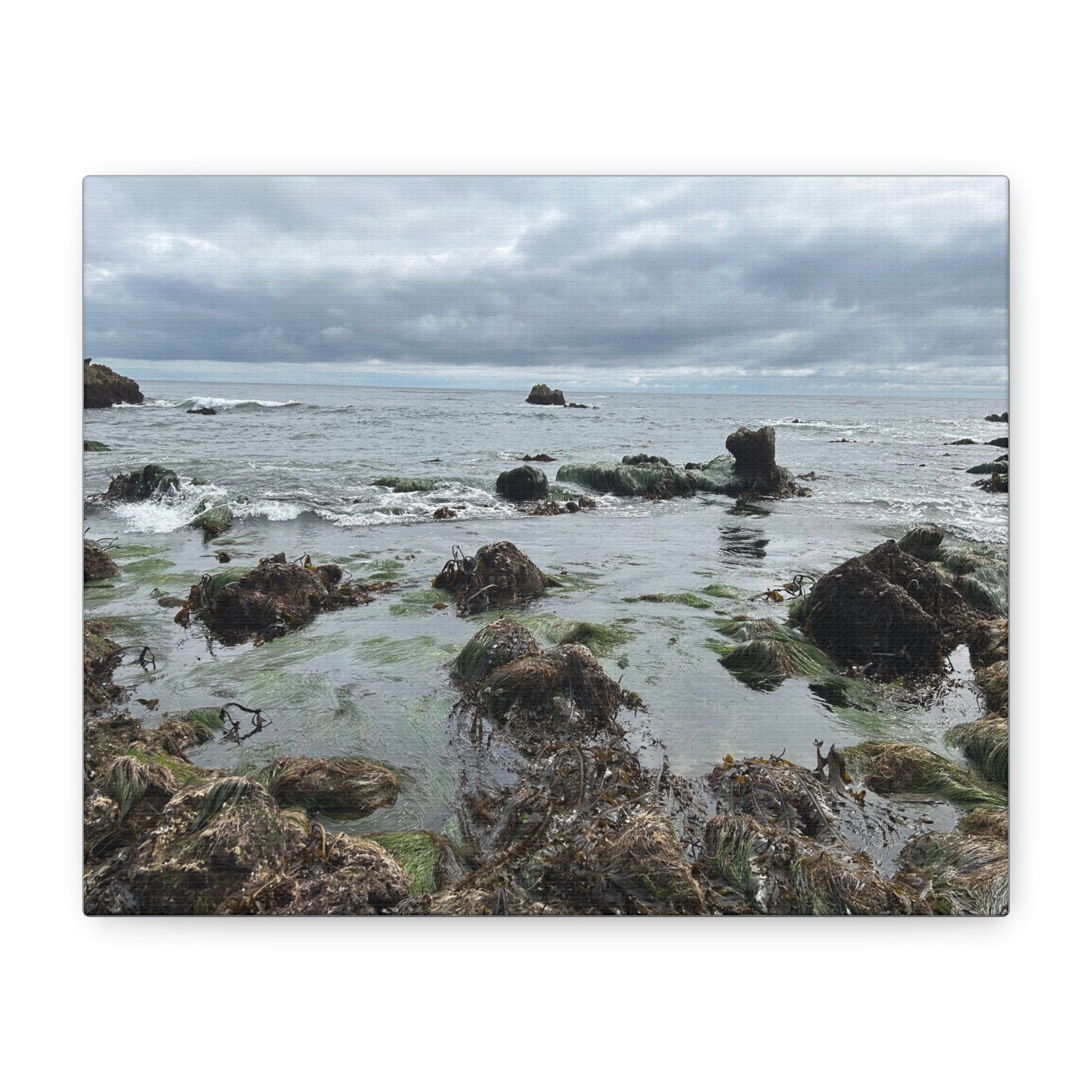 Coastal Tidepool Canvas Wall Art – Moody Gray Seashore Matte Stretched Canvas
