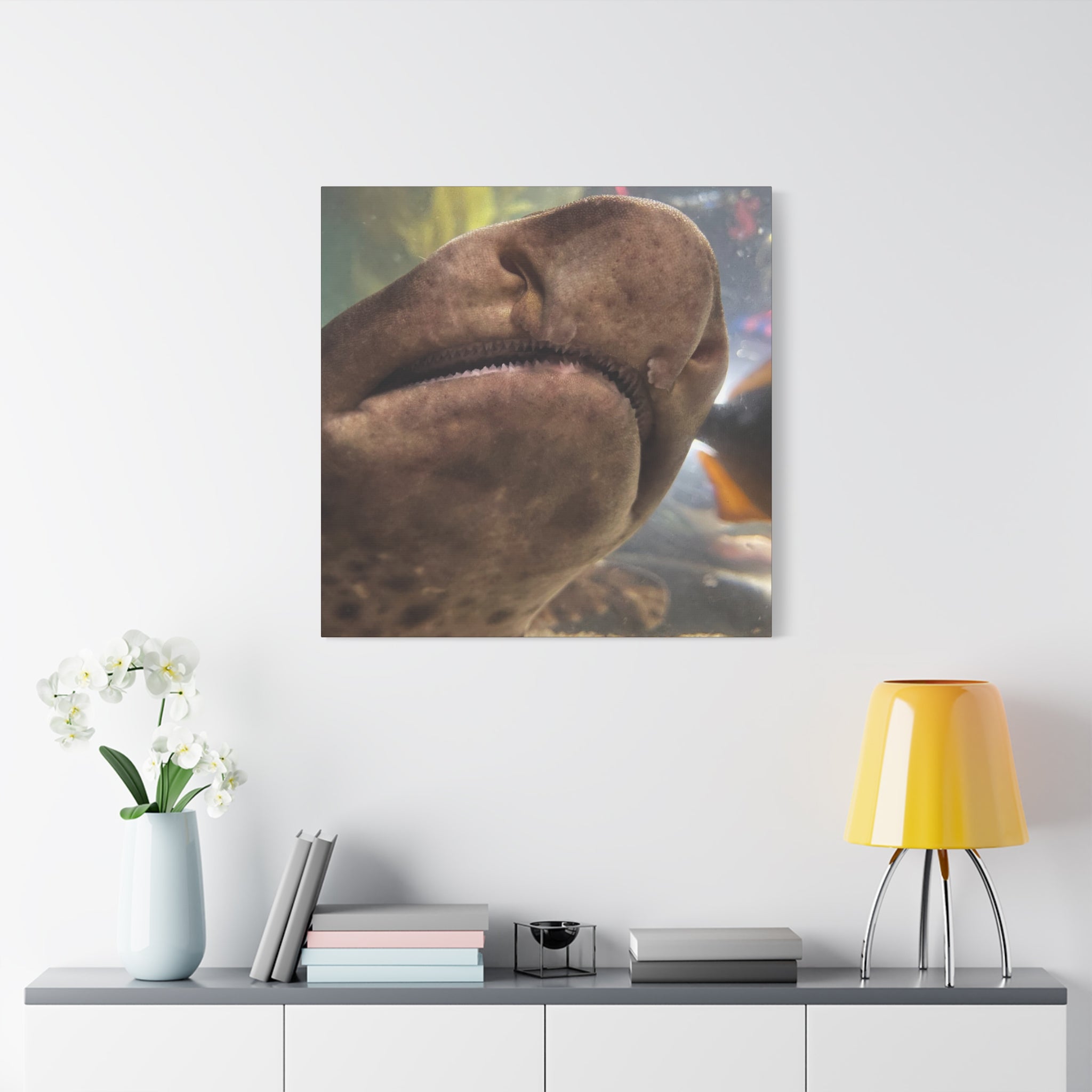 Swell Shark Close-Up Matte Canvas Print — Stretched 1.25" Wall Art