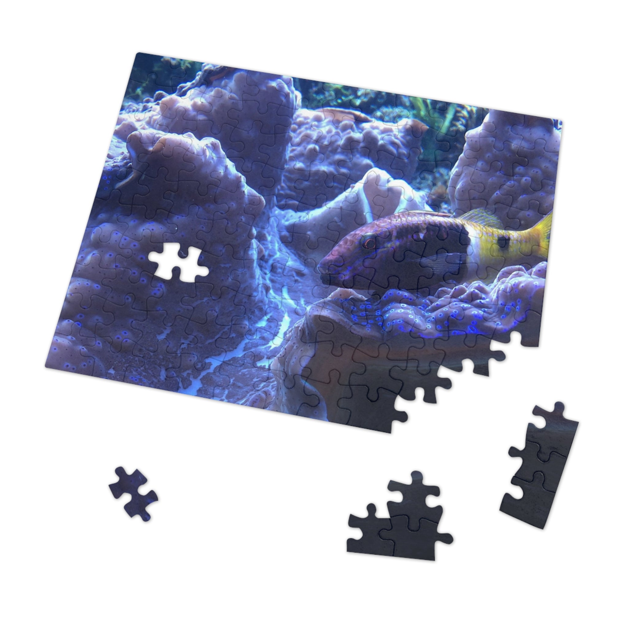 Giant Clam Reef Puzzle — Colorful Jigsaw Puzzle with Tin