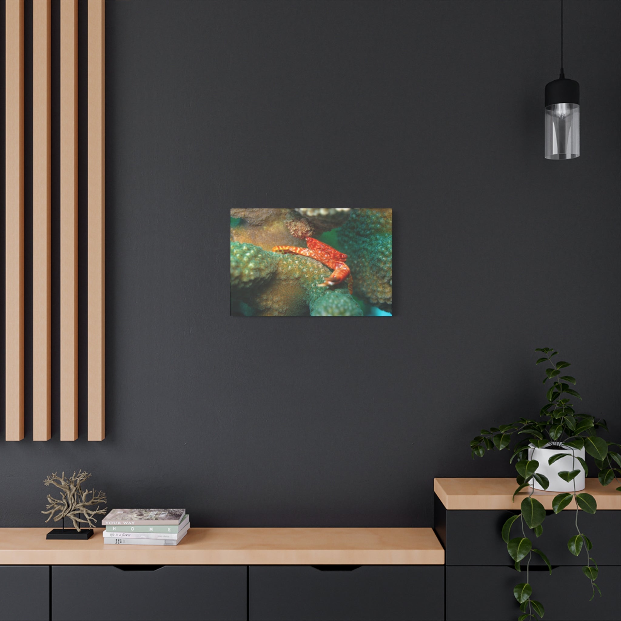 Coral Reef Crab Matte Canvas Print — Underwater Marine Wall Art