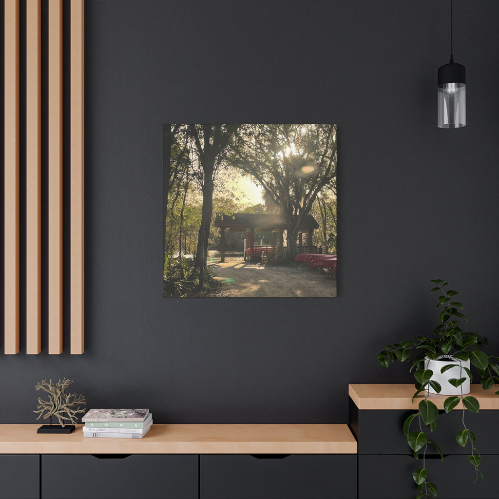 Hazy Morning Kayak - Sunlit Forest Matte Stretched Wall Art