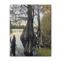 Swamp Matte Stretched Canvas