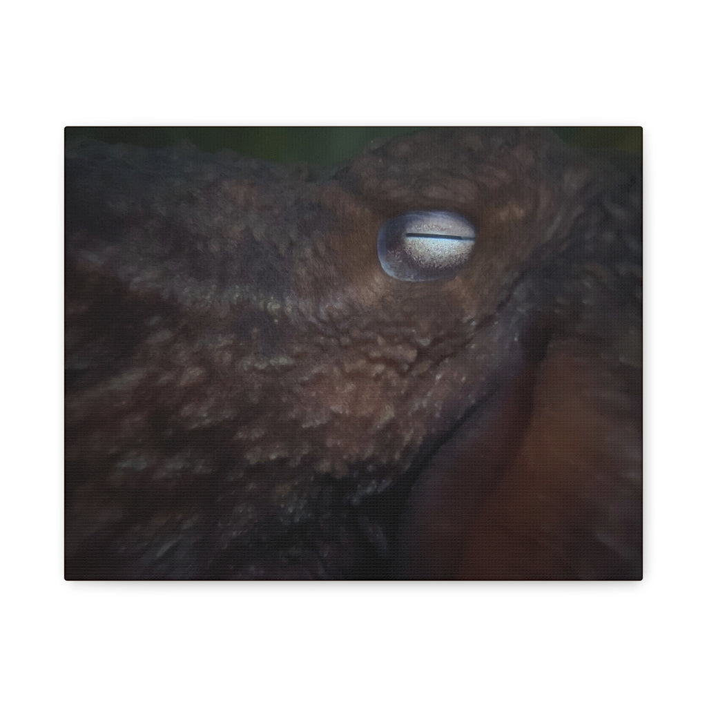 Octopus Eye Matte Canvas Print — Deep Sea Photography Wall Art