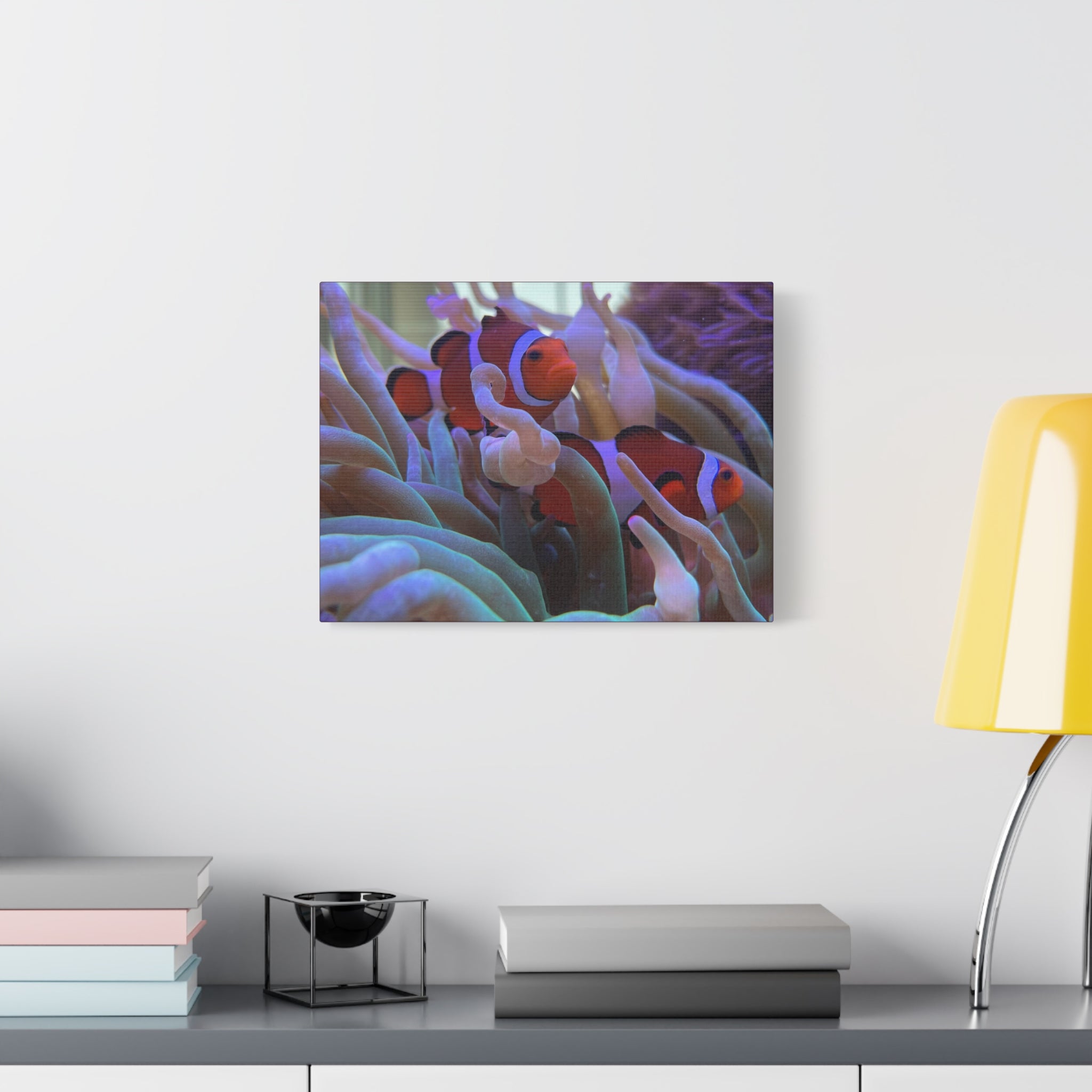 Clownfish Reef Matte Stretched Canvas Wall Art