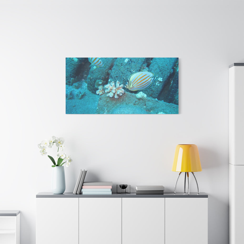 Tropical Butterflyfish Canvas Print — Underwater Coral Reef Wall Art