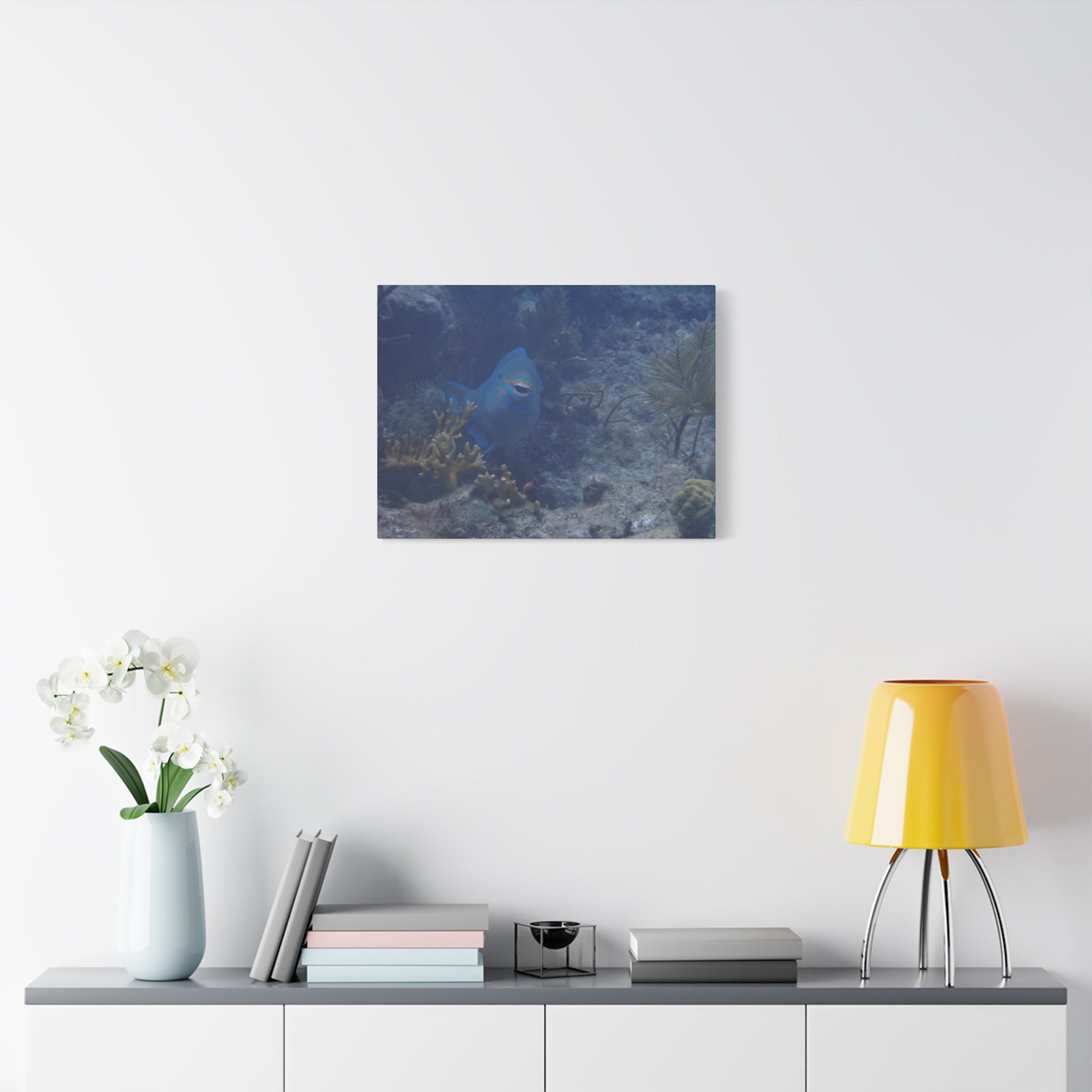 Underwater Parrotfish Canvas Print — Tropical Reef Wall Art
