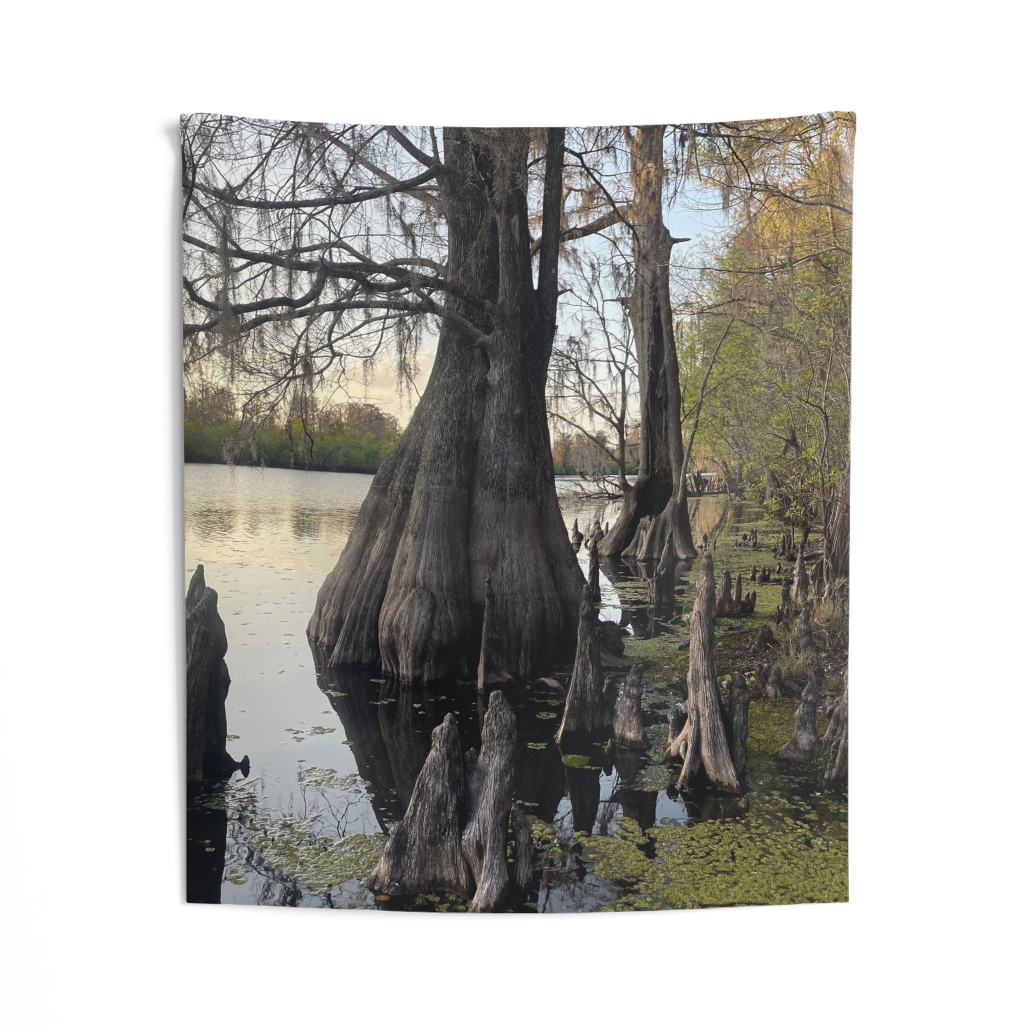 Swamp Wall Tapestry — Moody Nature Scene Décor