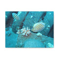 Tropical Butterflyfish Canvas Print — Underwater Coral Reef Wall Art