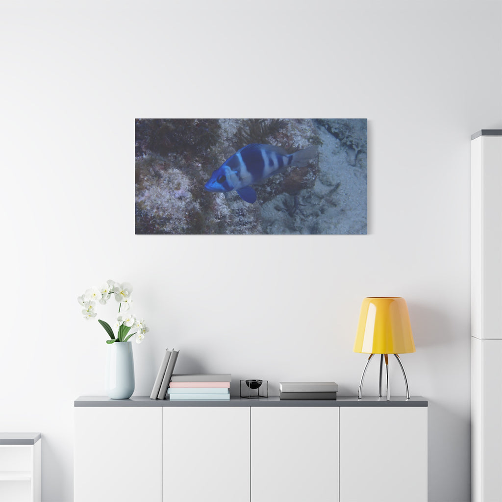 Indigo Hamlet Canvas Print — Underwater Matte Stretched Wall Art