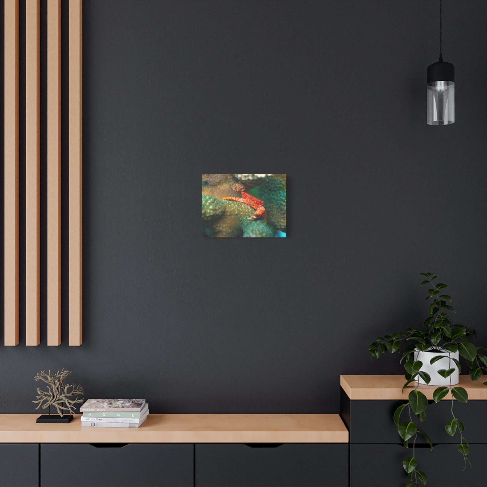 Coral Reef Crab Matte Canvas Print — Underwater Marine Wall Art