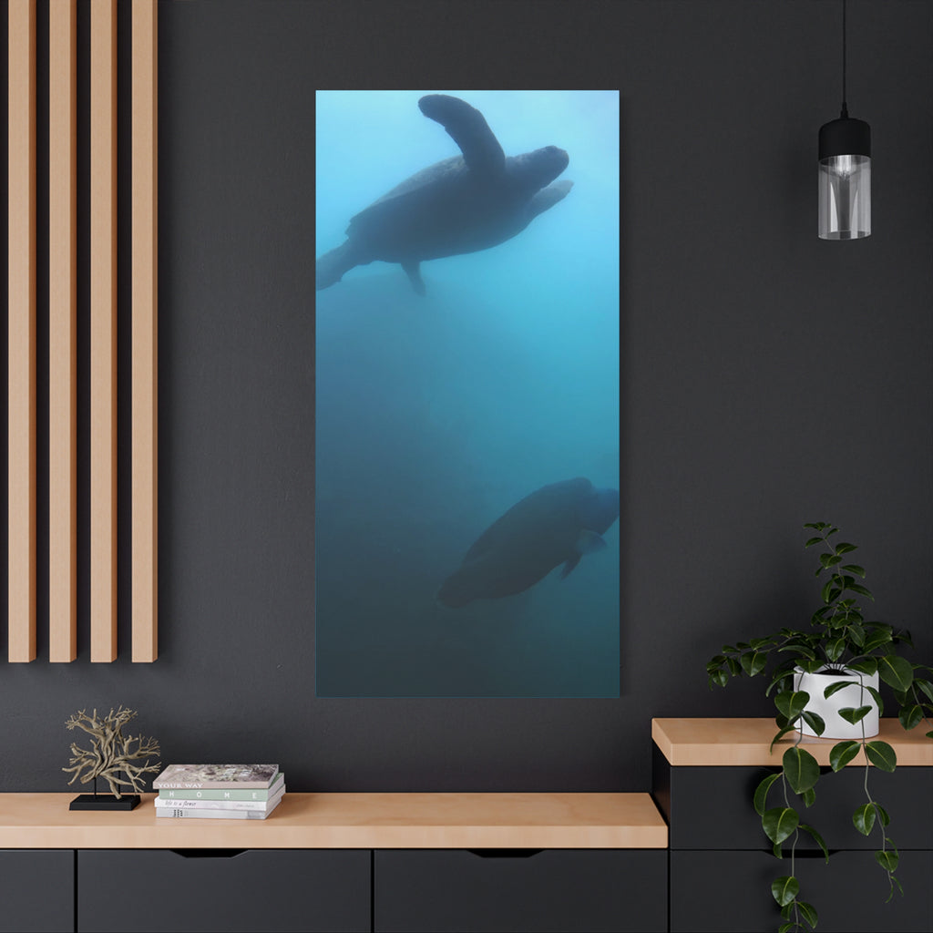 Sea Turtle and Humphead Wrasse Ocean Canvas Wall Art — Matte Stretched 1.25"