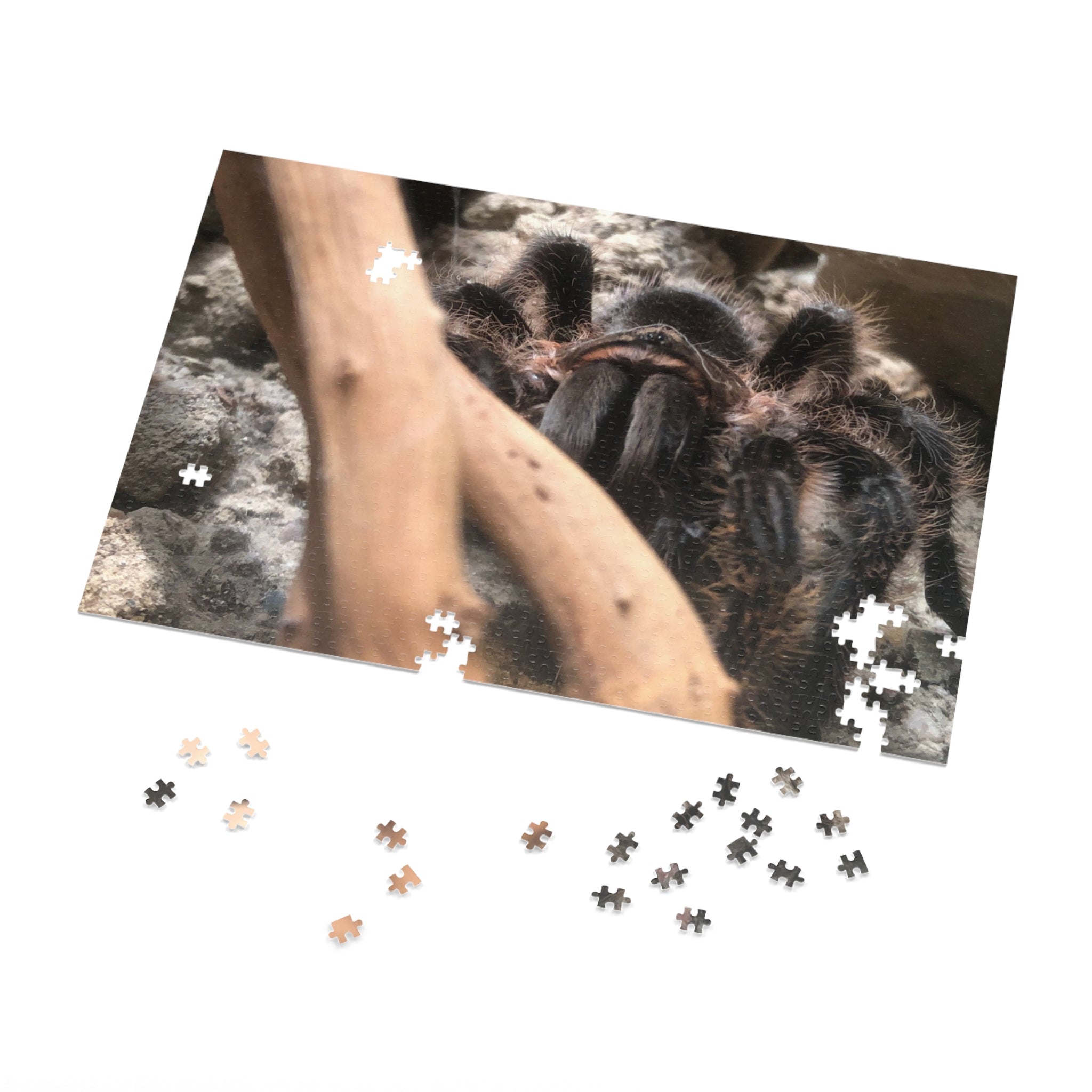 Tarantula Jigsaw Puzzle with Tin – Realistic Arachnid Puzzle for Enthusiasts