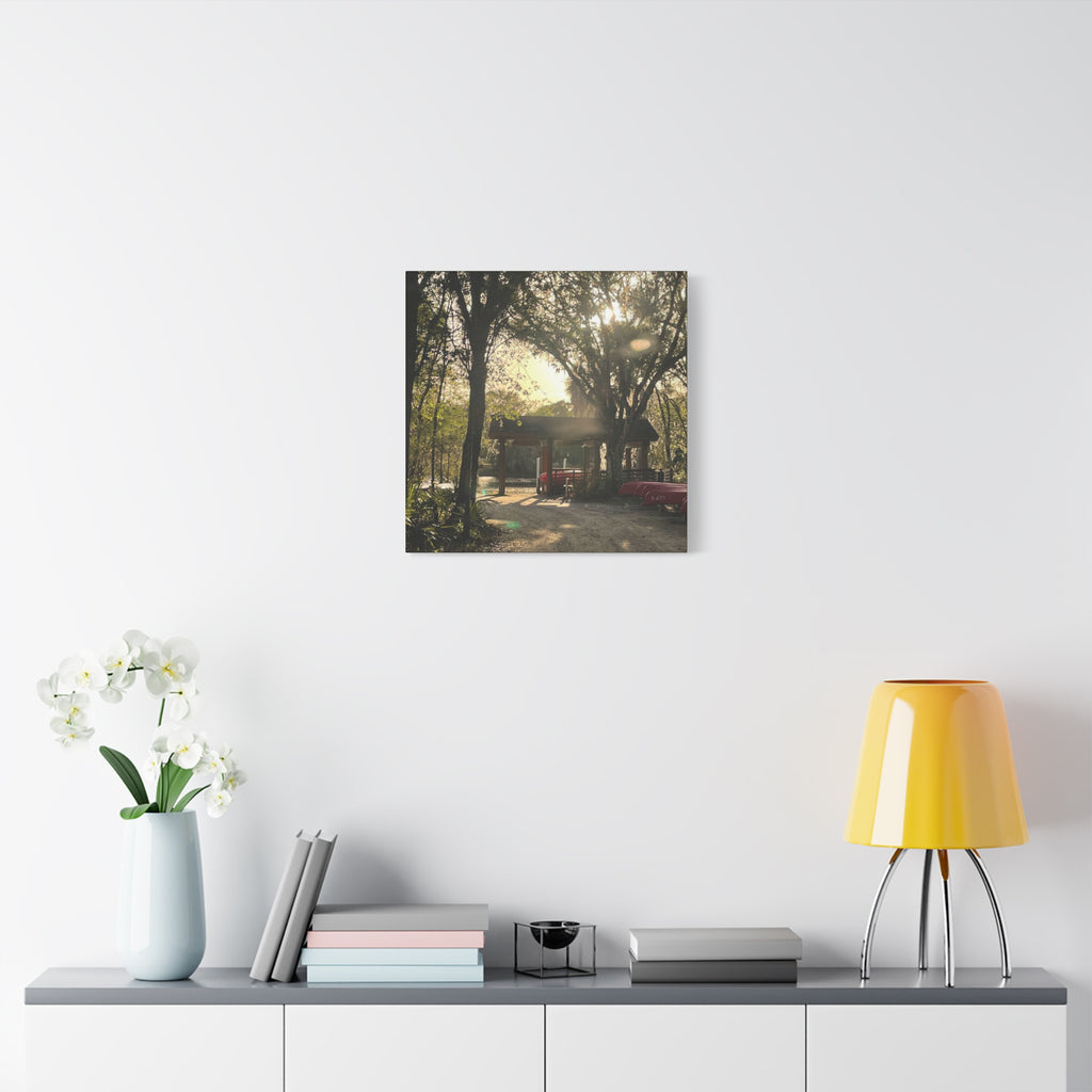Hazy Morning Kayak - Sunlit Forest Matte Stretched Wall Art