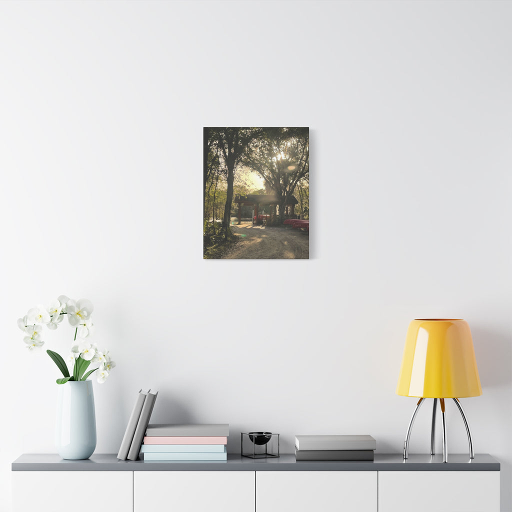 Hazy Morning Kayak - Sunlit Forest Matte Stretched Wall Art