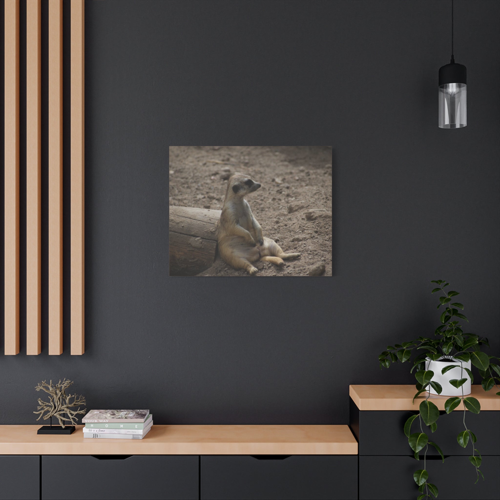 Relaxed Meerkat Matte Canvas Wall Art — Cute Animal Photo Print