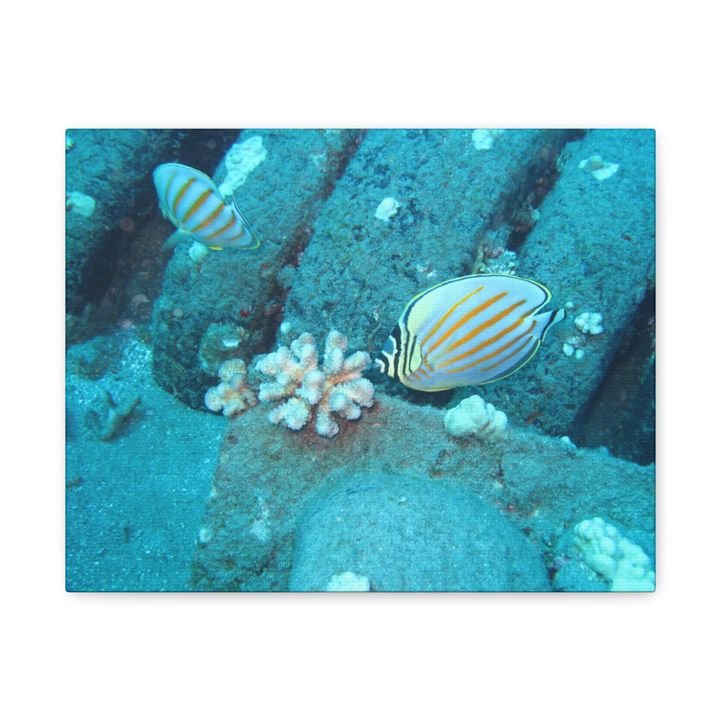 Tropical Butterflyfish Canvas Print — Underwater Coral Reef Wall Art