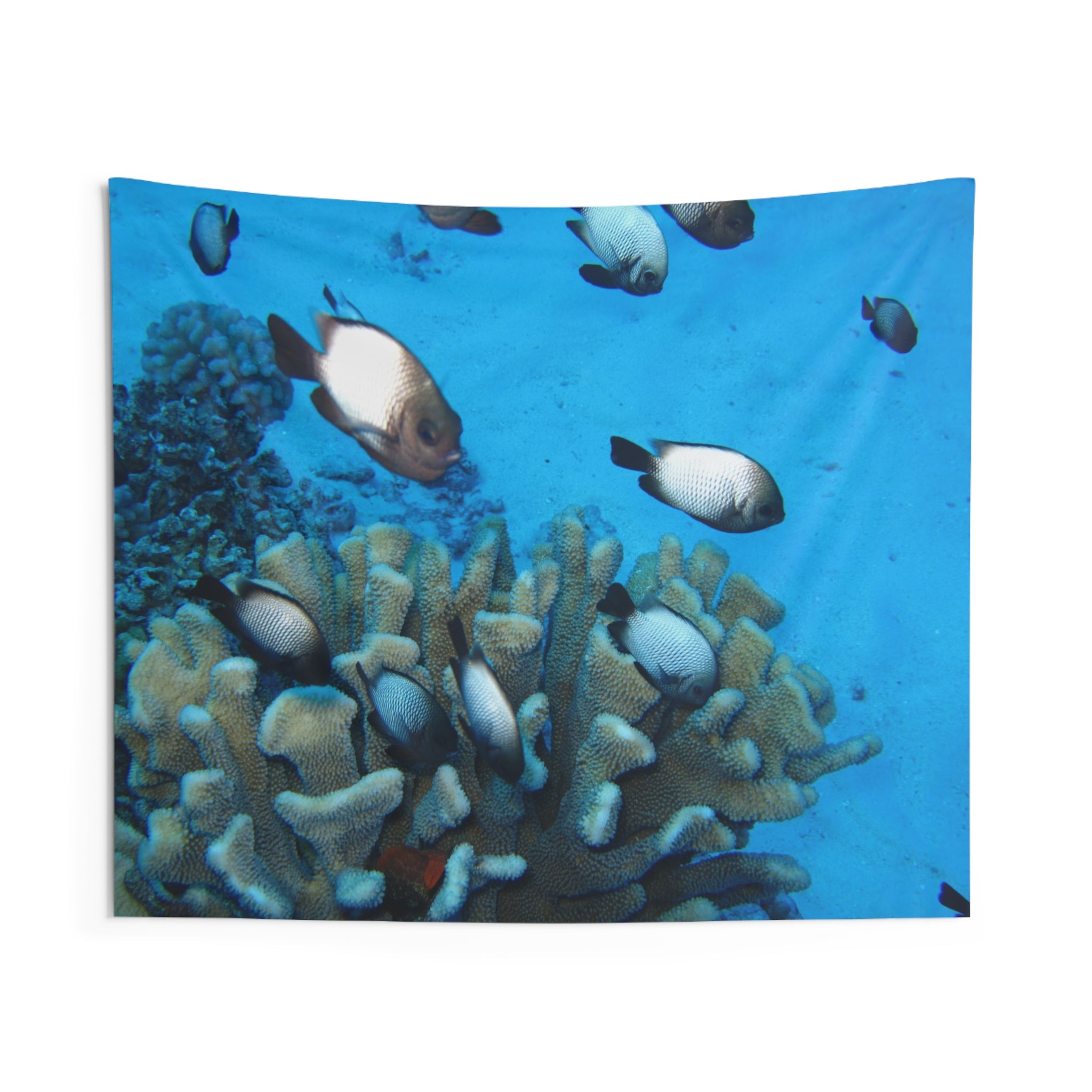 Underwater Reef Wall Tapestry — Tropical Fish Ocean Decor