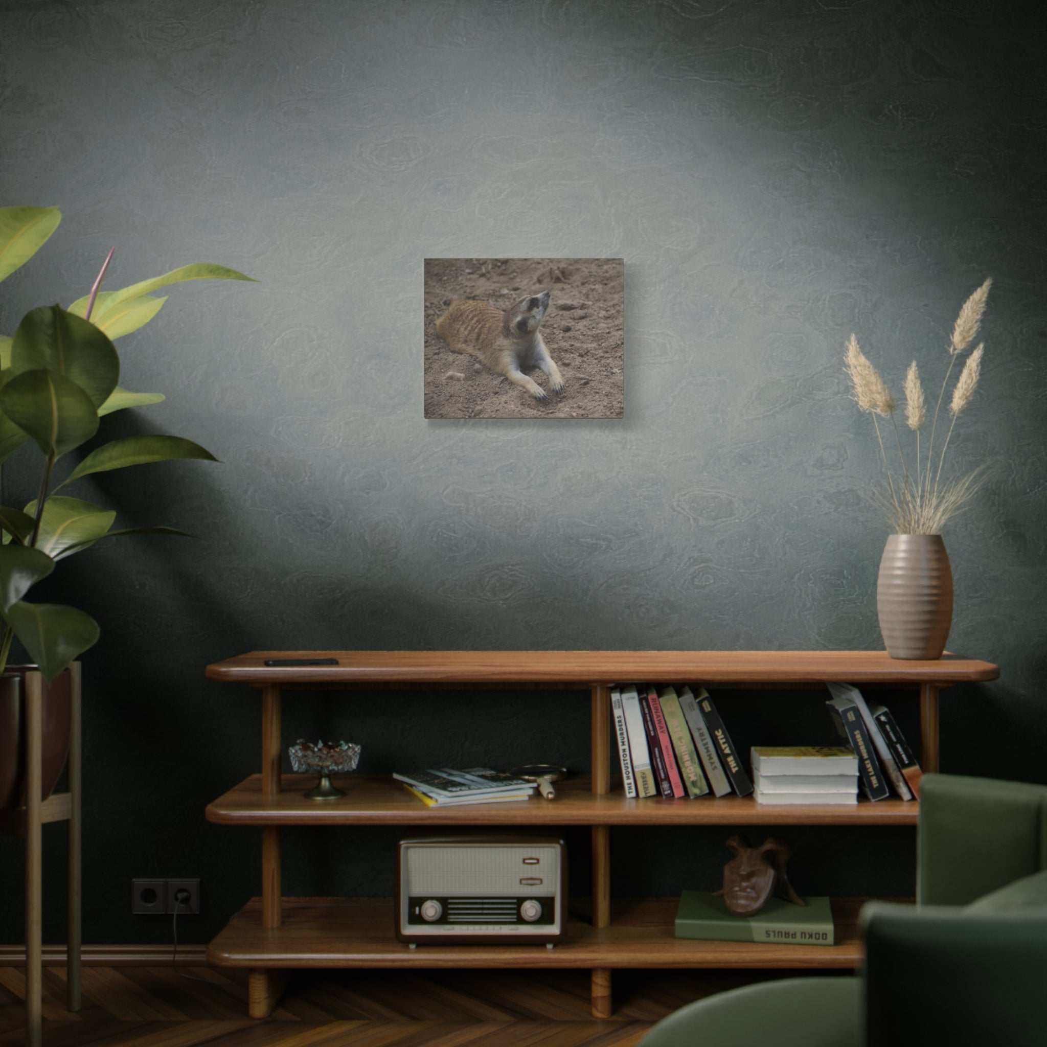 Meerkat Stretch Canvas Wall Art – Relaxed Desert Wildlife Print