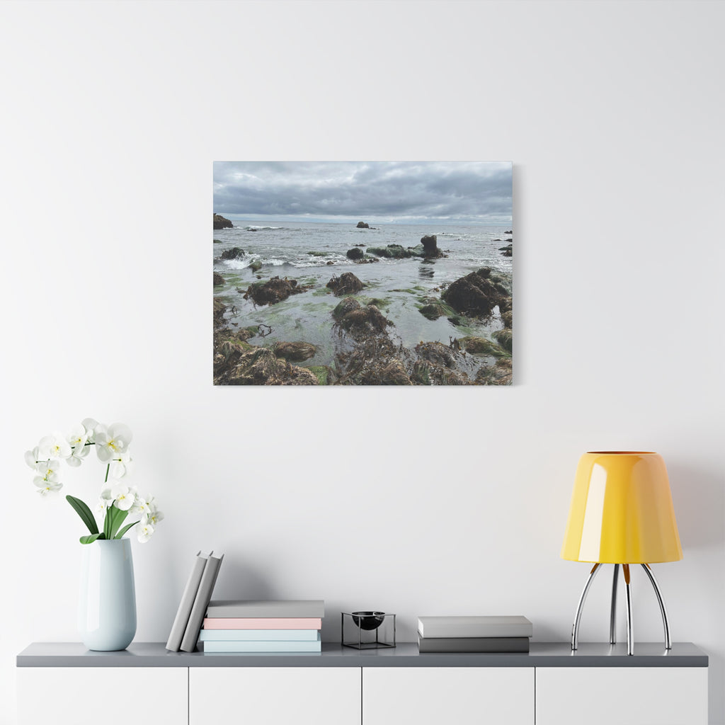 Coastal Tidepool Canvas Wall Art – Moody Gray Seashore Matte Stretched Canvas