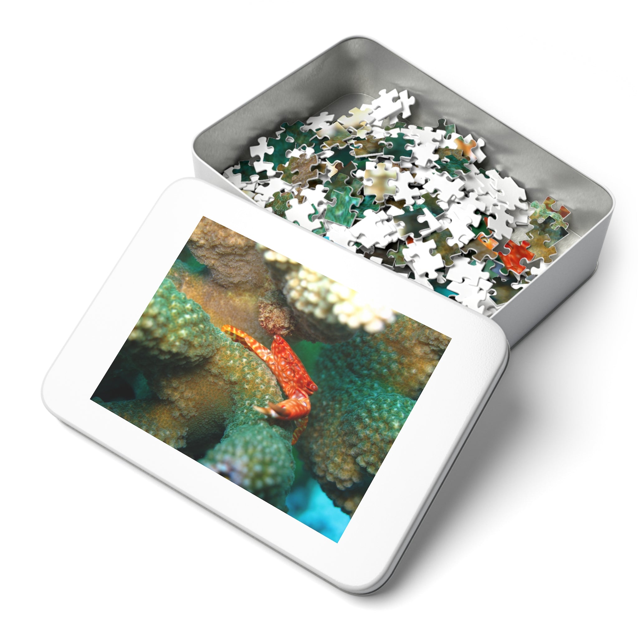 Coral Reef Crab Jigsaw Puzzle (with Tin) — Ocean Puzzle Gift