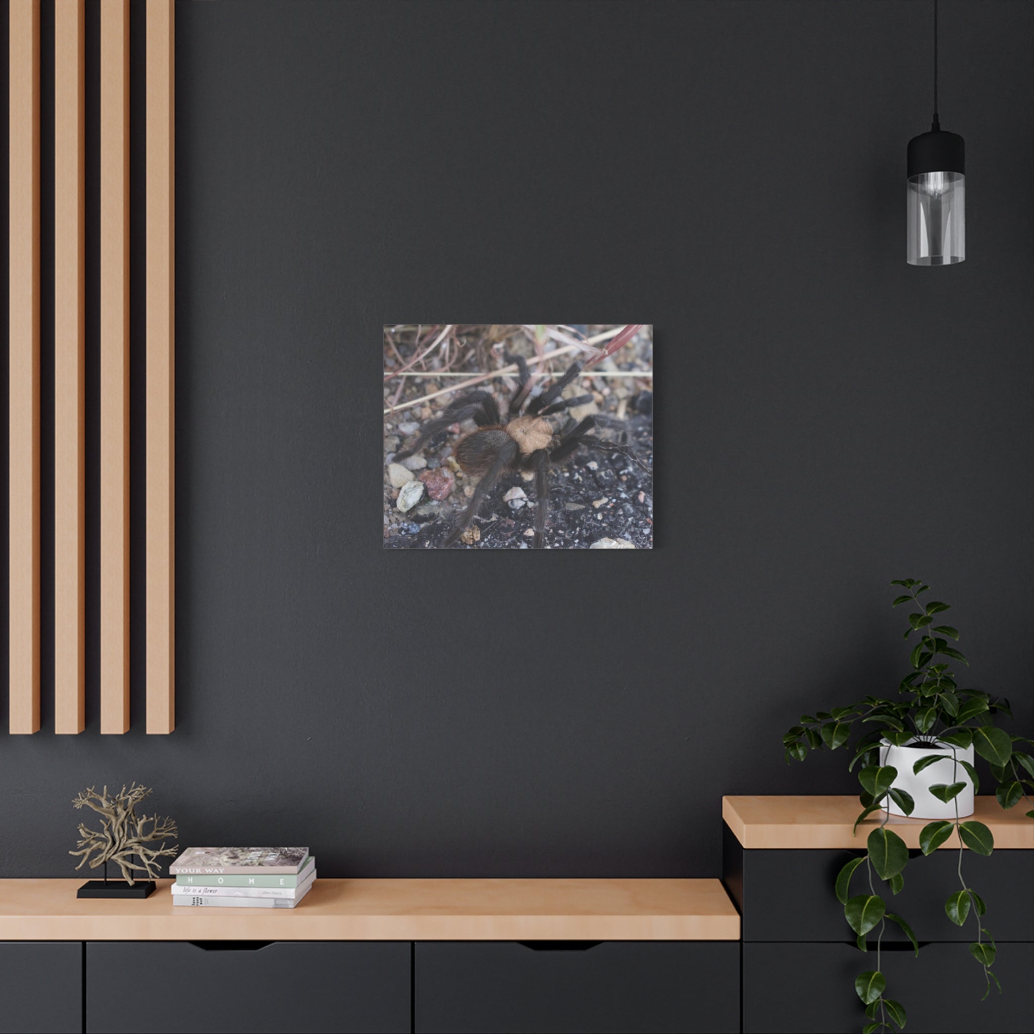 Tarantula Canvas Print — Matte Stretched Wall Art