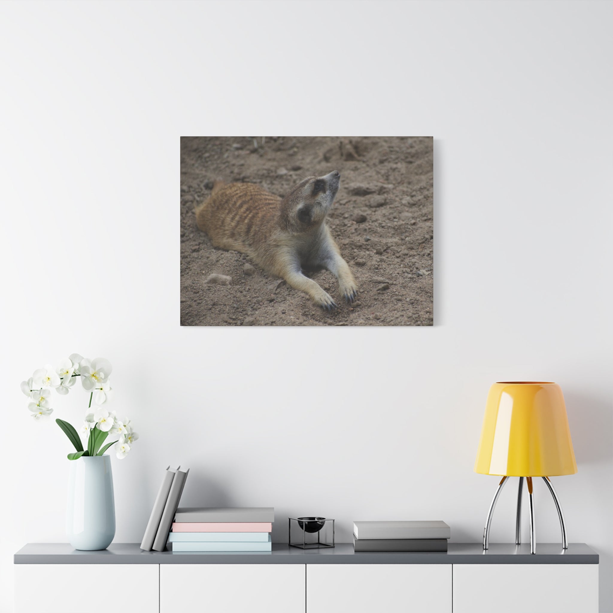 Meerkat Stretch Canvas Wall Art – Relaxed Desert Wildlife Print