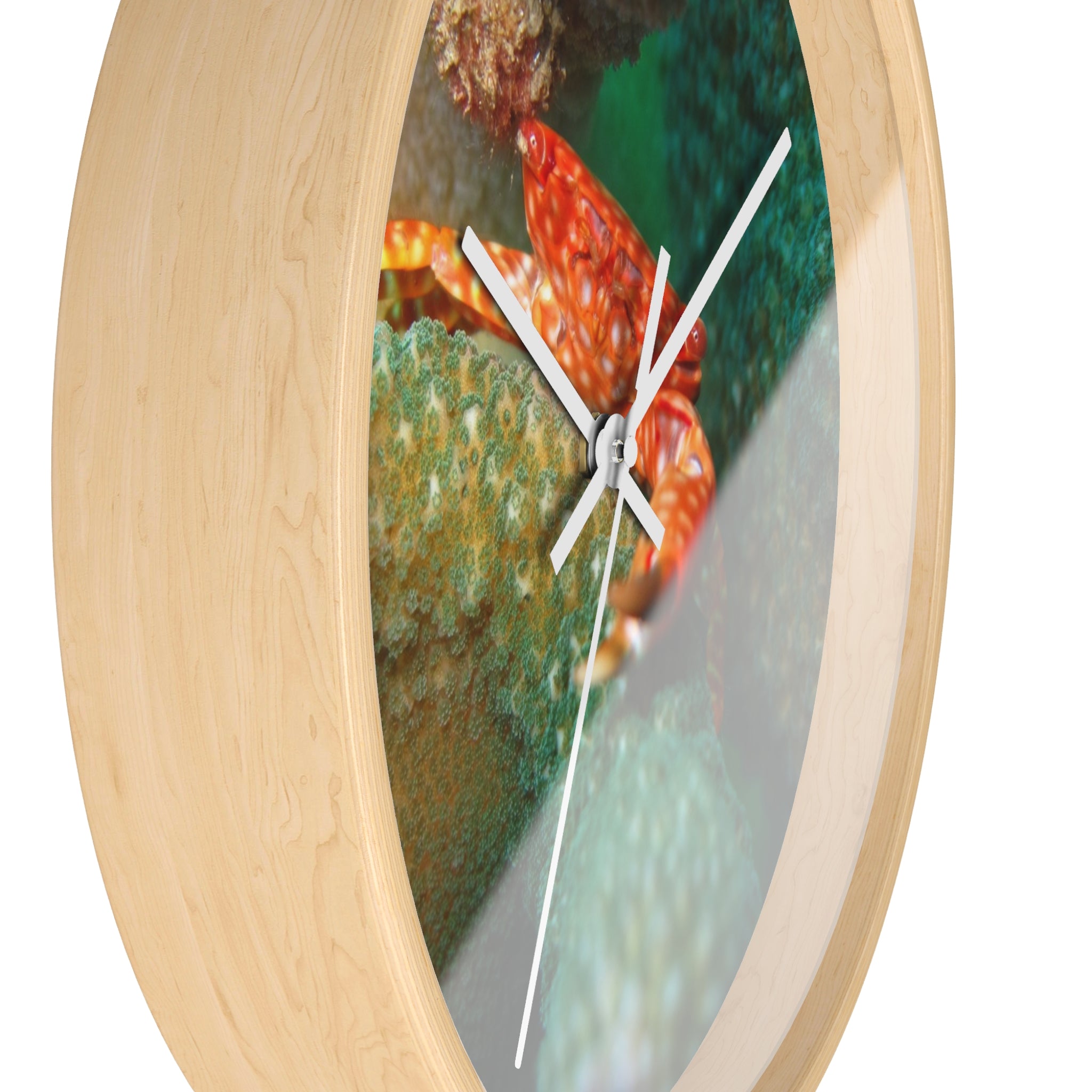 Coral Reef Crab Wall Clock — Vibrant Underwater Ocean Decor
