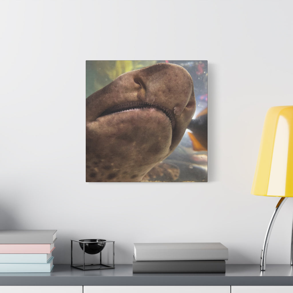 Swell Shark Close-Up Matte Canvas Print — Stretched 1.25" Wall Art