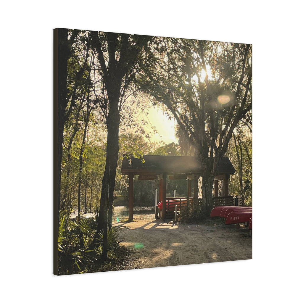 Hazy Morning Kayak - Sunlit Forest Matte Stretched Wall Art