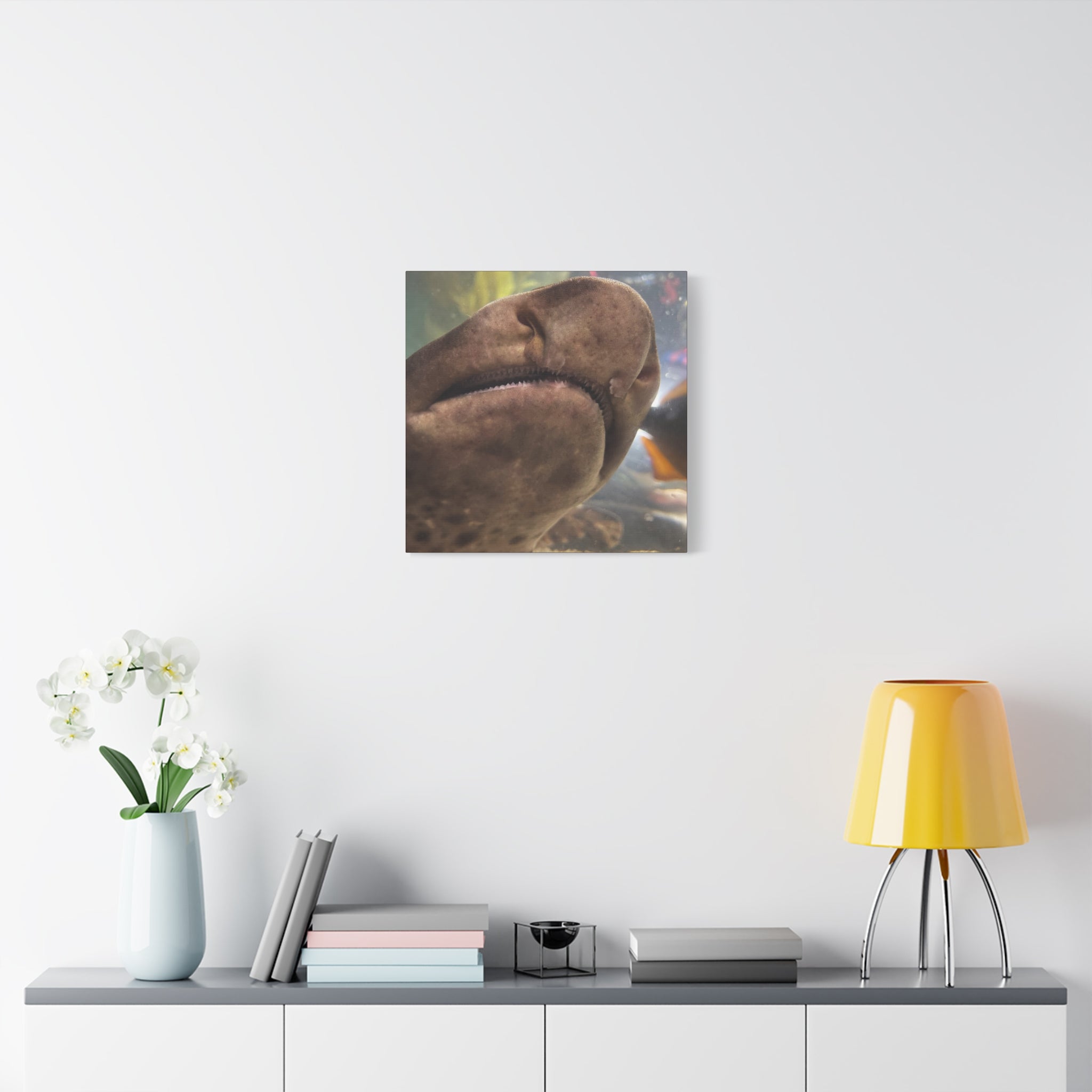 Swell Shark Close-Up Matte Canvas Print — Stretched 1.25" Wall Art