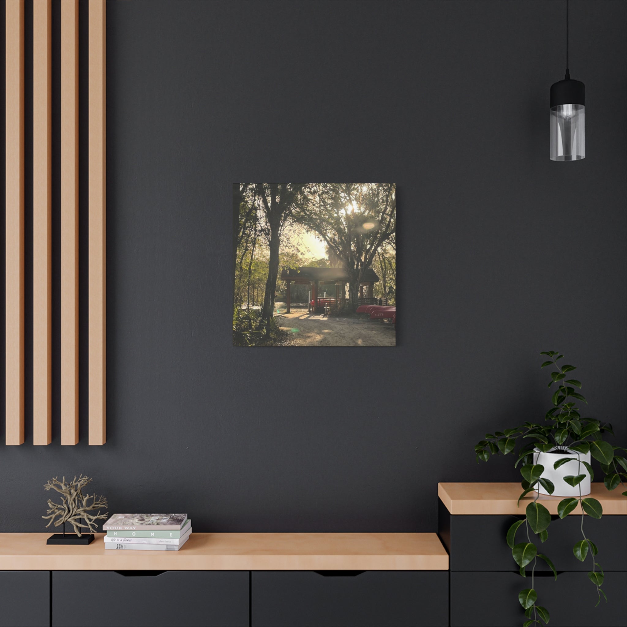 Hazy Morning Kayak - Sunlit Forest Matte Stretched Wall Art