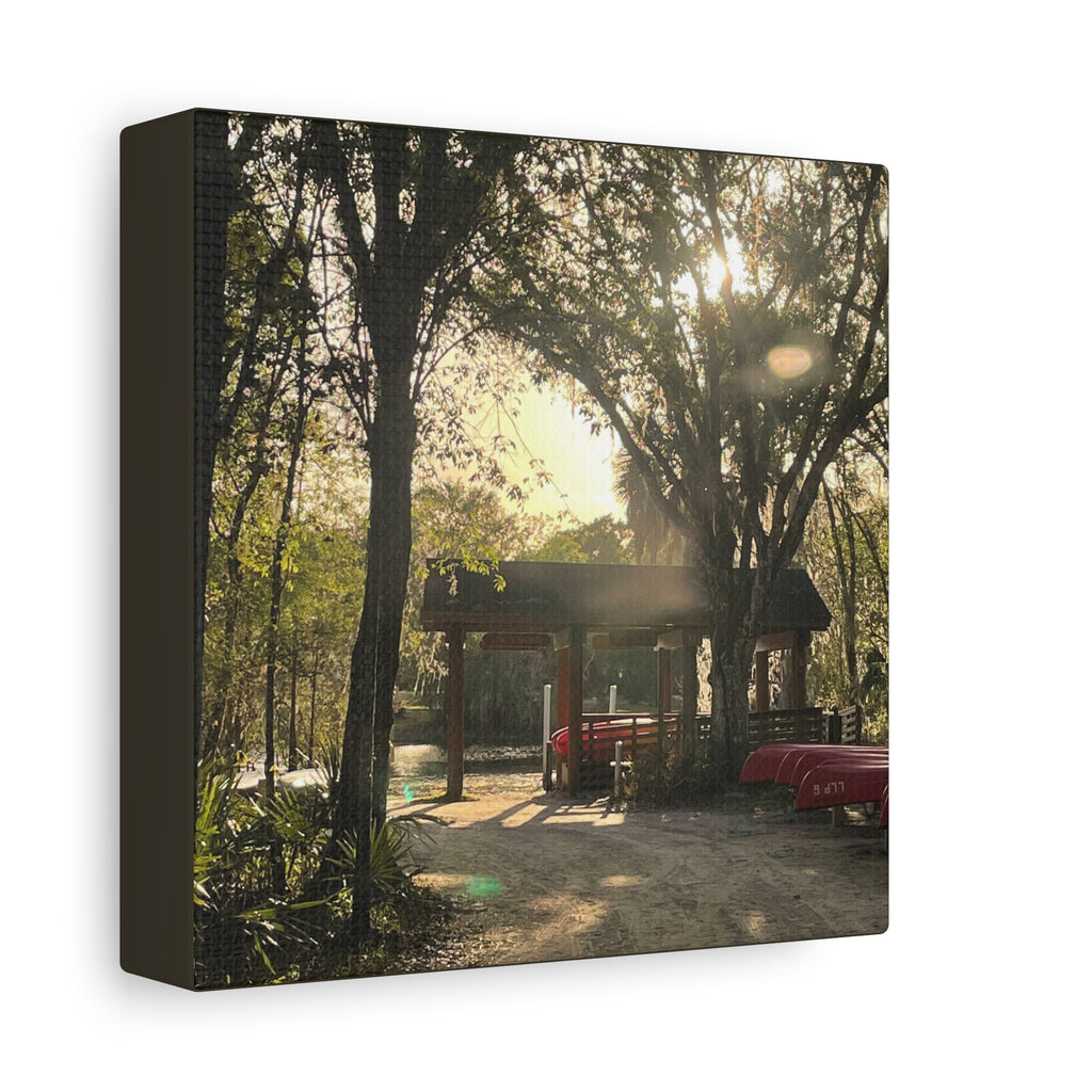 Hazy Morning Kayak - Sunlit Forest Matte Stretched Wall Art