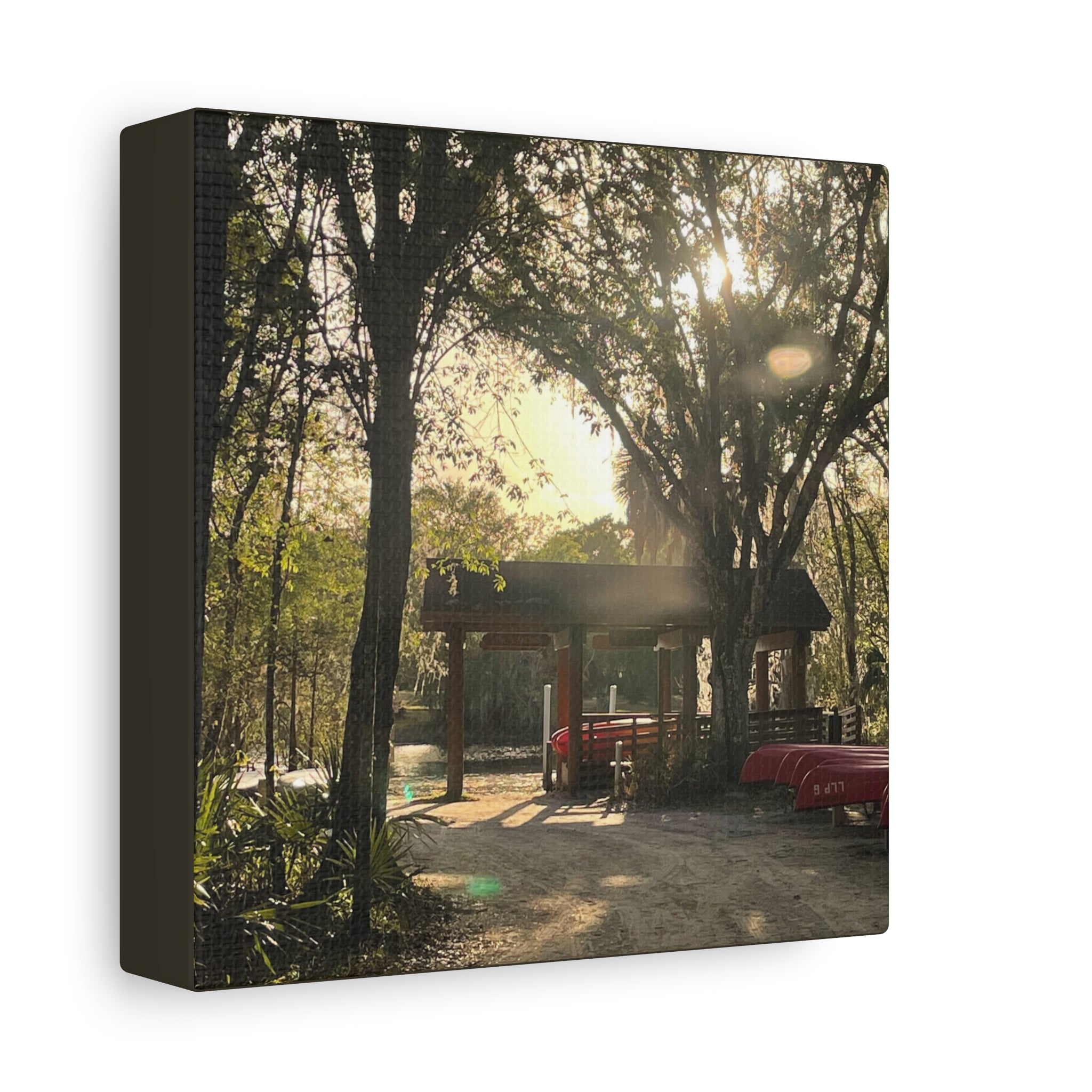 Hazy Morning Kayak - Sunlit Forest Matte Stretched Wall Art
