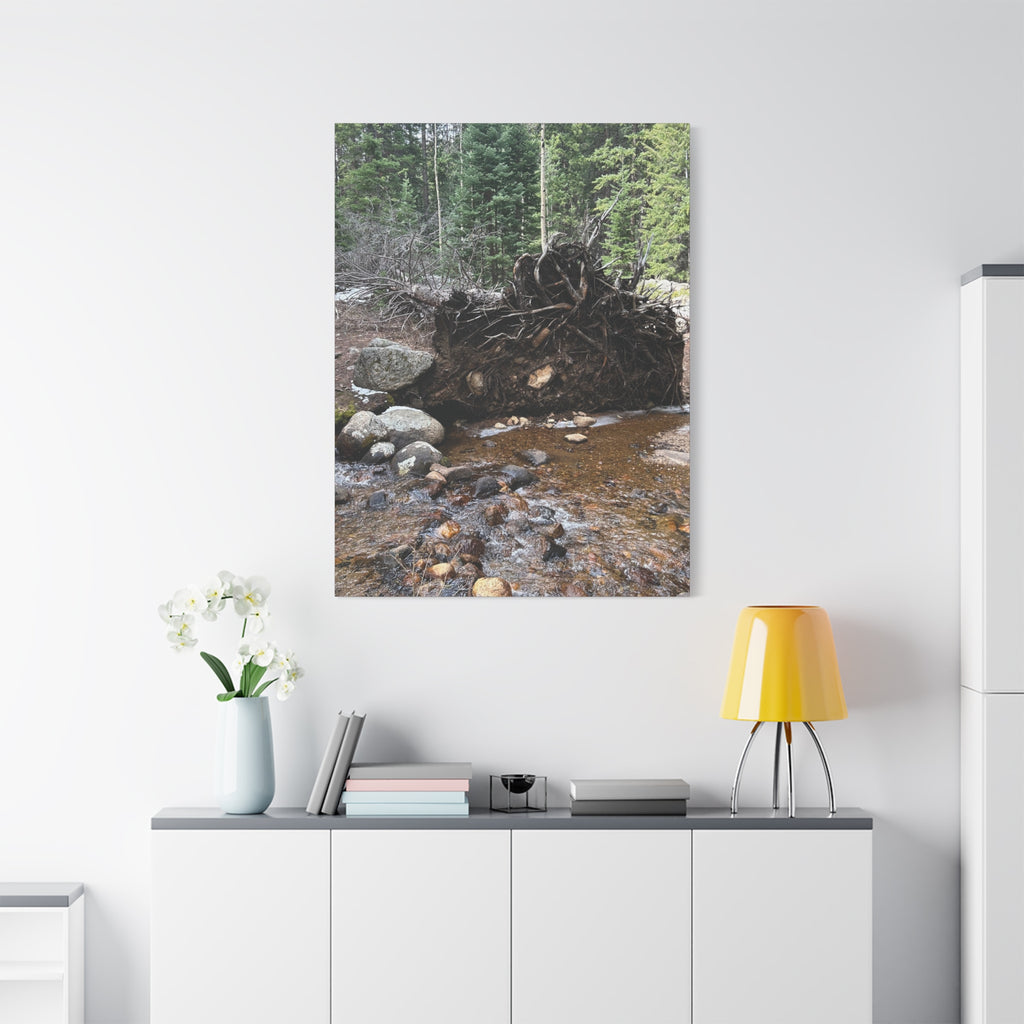 Riverbank Forest Canvas Print – Matte Stretched Wall Art (1.25")