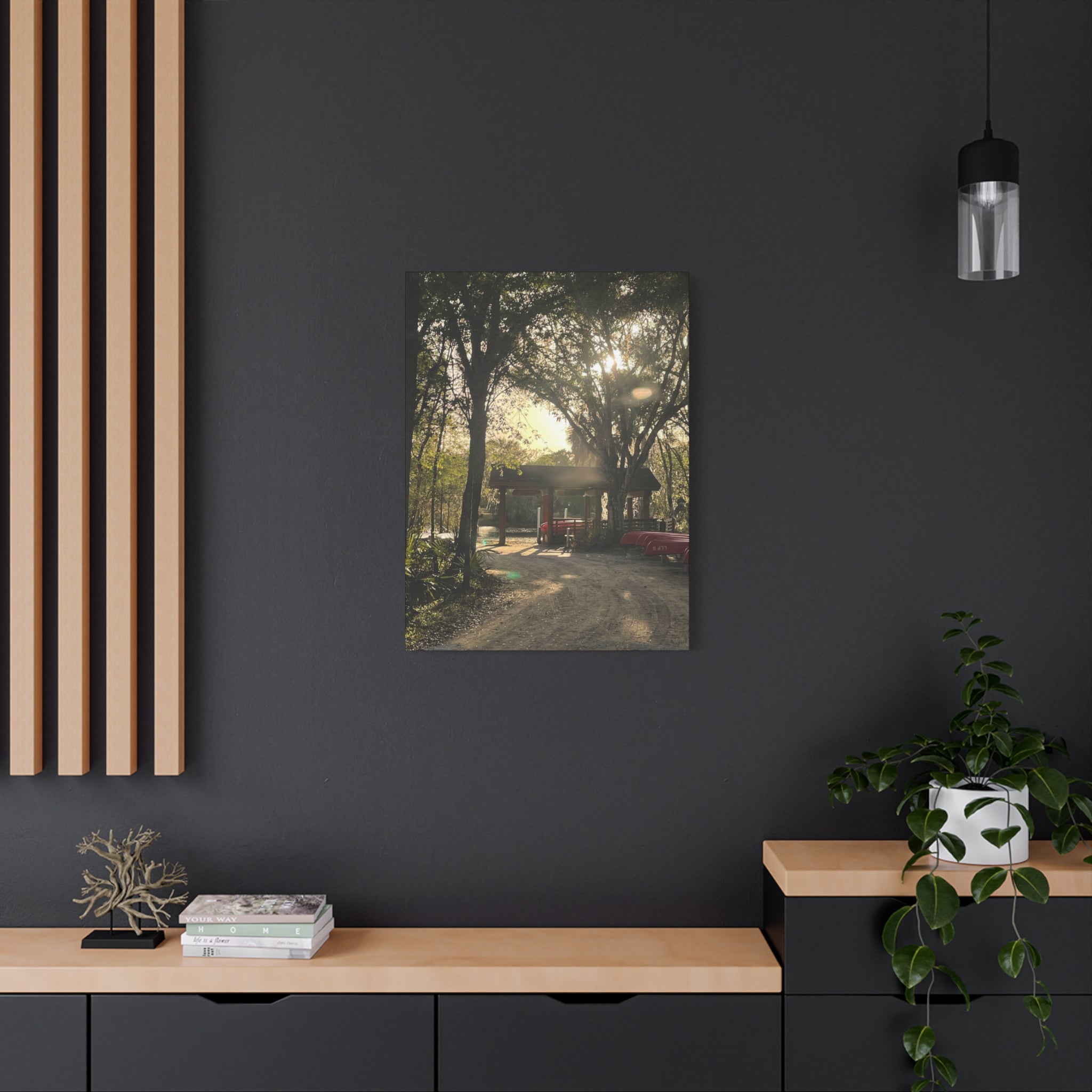 Hazy Morning Kayak - Sunlit Forest Matte Stretched Wall Art