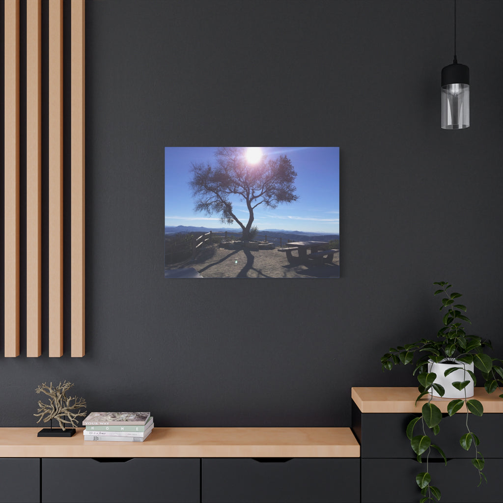 Sunlit Ridge Tree Matte Canvas Print — Scenic Landscape Wall Art